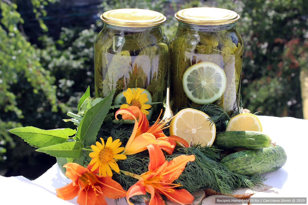 Маринованные огурцы с лимоном «Пражские» – пошаговый рецепт с фото