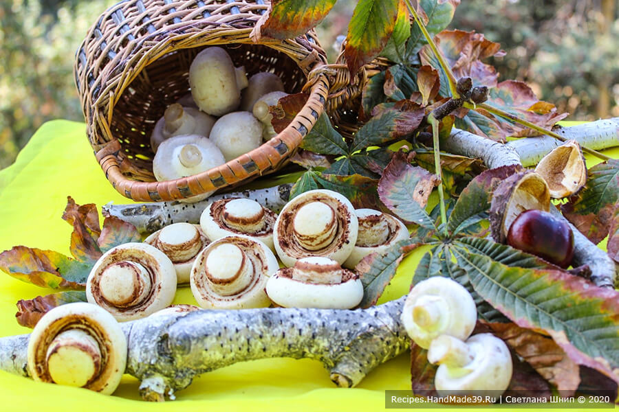 Печенье «Шампиньоны» – пошаговый кулинарный рецепт с фото